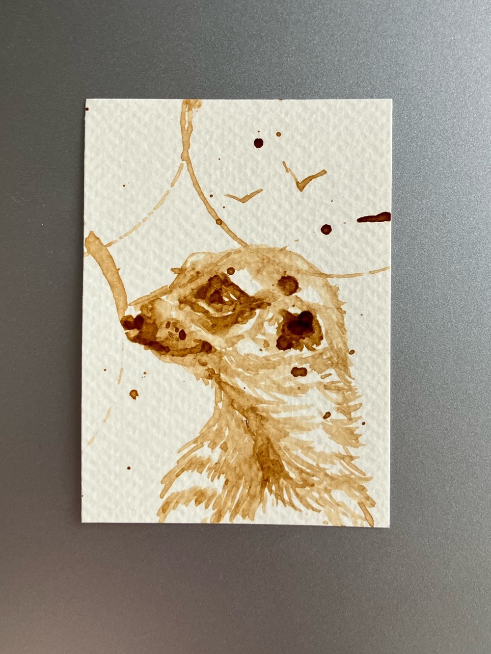 ORIGINAL coffee meerkat painting animal art miniature realism artwork USA
